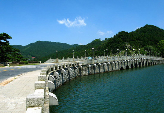 200910168386482