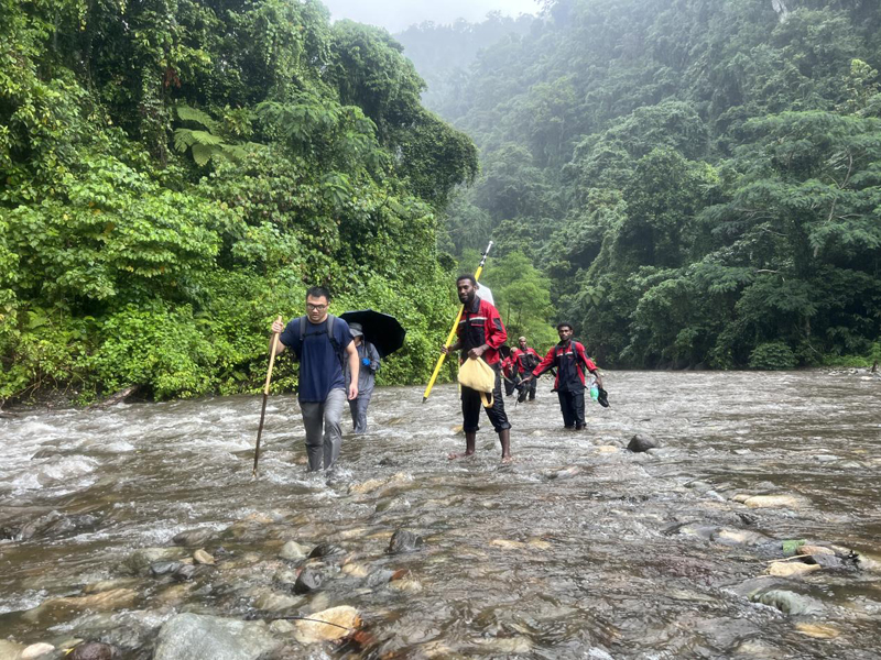万水千山只等闲，践行六讲勇向前 ——所罗门金岭水电站项目勘测工作侧记